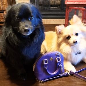 Micro size Tory Burch, Robinson shrunken